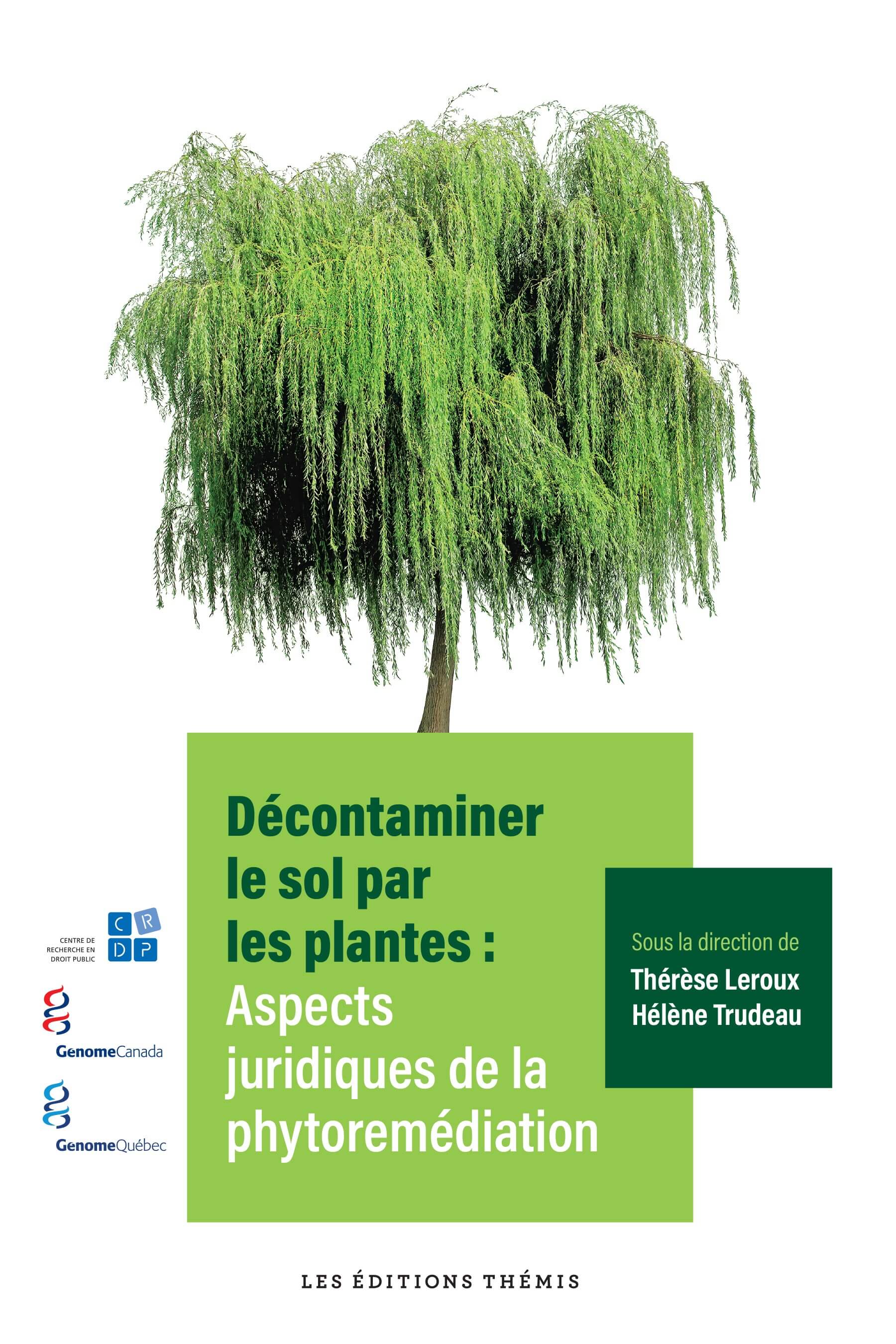 Décontaminer le sol par les plantes