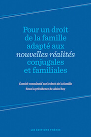 Pour un droit de la famille adapté aux nouvelles réalités conjugales et familiales – Comité consultatif sur le droit de la famille