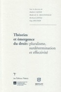 Théories et émergence du droit : pluralisme, surdétermination et effectivité
