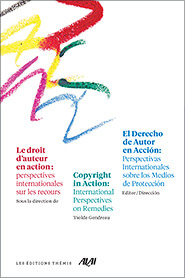 Le droit d’auteur en action : perspectives internationales sur les recours
